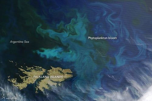 Lautan Fitoplankton-Tempat Terindah di Bumi