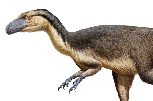 Dinosurus Berbulu - Fakta Aneh