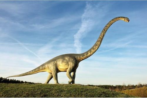 Dinosurus Herbivora - Fakta aneh