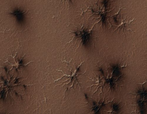 Laba-laba di Mars