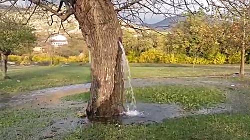 fenomena Bumi pohon air mancur karena dasar tanah merupakan sumber air
