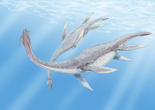 Plesiosaurus, Kembaran Versi Laut dari Brontosaurus