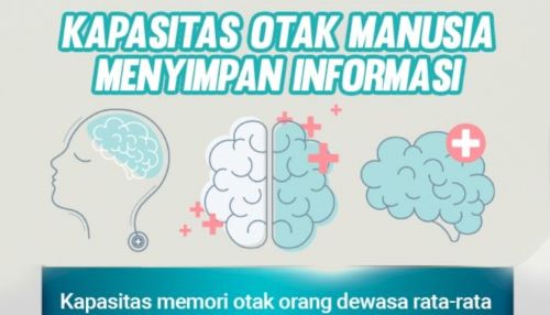 Memori Otak Manusia