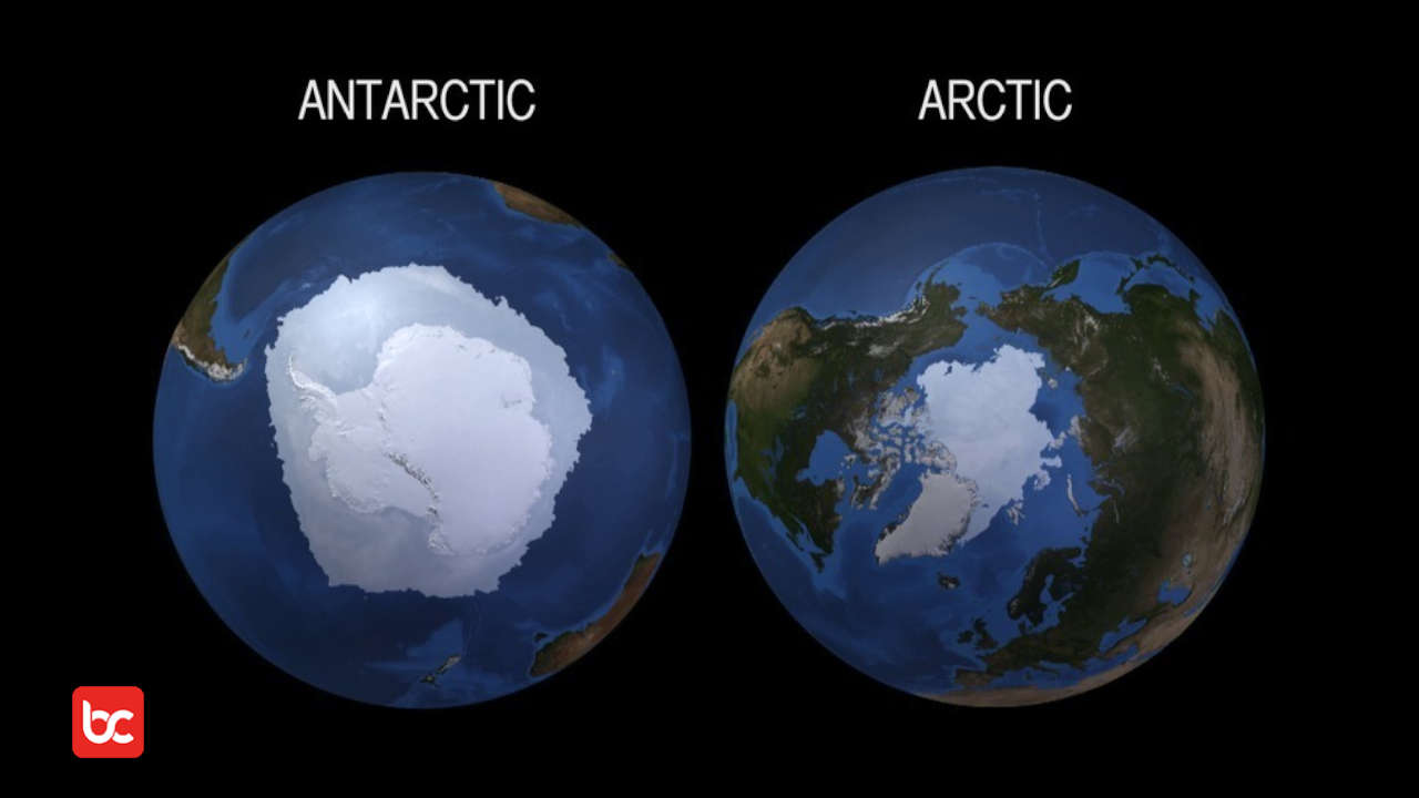Antara Kutub Utara dan Kutub Selatan, Ternyata Ada 12 Perbedaannya Loh!