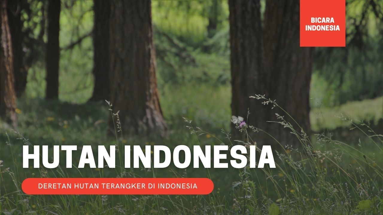 Inilah 5 Hutan Terangker Indonesia yang Kisahnya Tak Pernah Terpecahkan