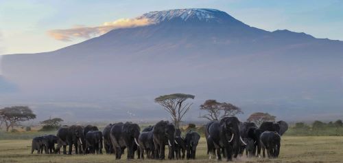 Mount Kilimanjaro - Tempat Wisata Terindah